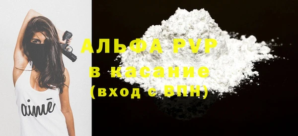 молекула духа Богородицк