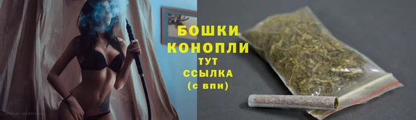 молекула духа Богородицк
