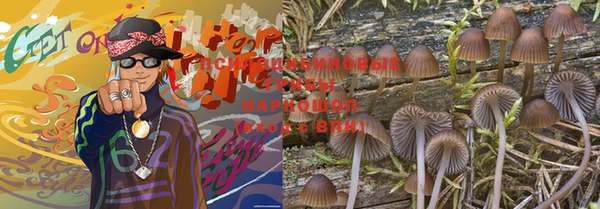 мдпв Белокуриха